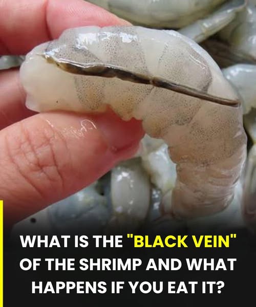 The “vein” of the shrimp: the culinary detail