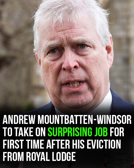Andrew Mountbatten-Windsor’s surprising new job for first time after eviction