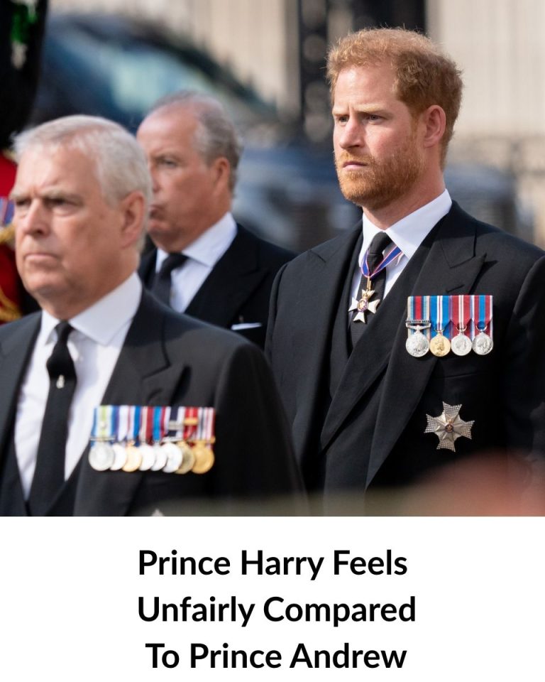 Prince Harry Feels Unfairly Compared To Prince Andrew