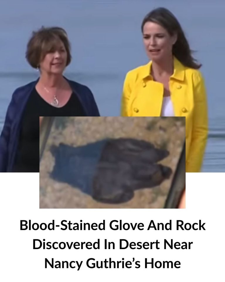 Blood-Stained Glove And Rock Discovered In Desert Near Nancy Guthrie’s Home