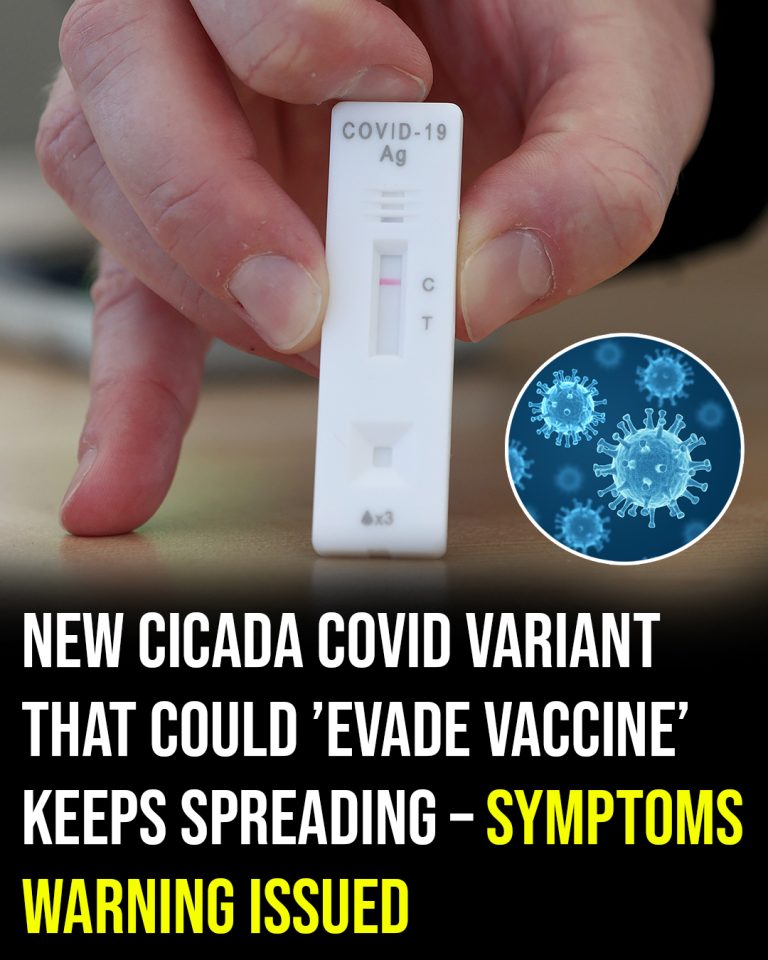 New Covid variant “Cicada” prompts vaccine concerns and symptom warnings
