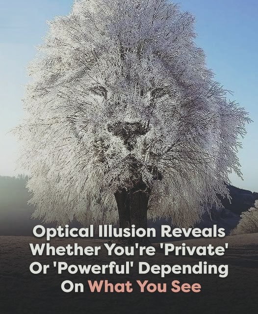 The First Thing You Notice