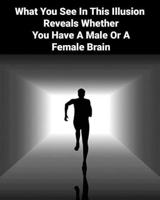 8 fascinating optical