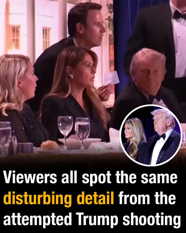 Viewers all spot the same