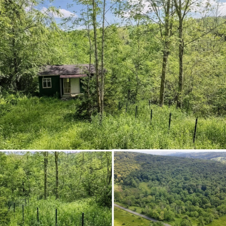 Now $19,000—recently reduced by $6K. Escape to total privacy: no neighbors, no noise, peace and open space. Perfect for a getaway, investment, or off-grid living. Rare opportunity to own quiet land at an unbeatable price. Act fast before it’s gone.
