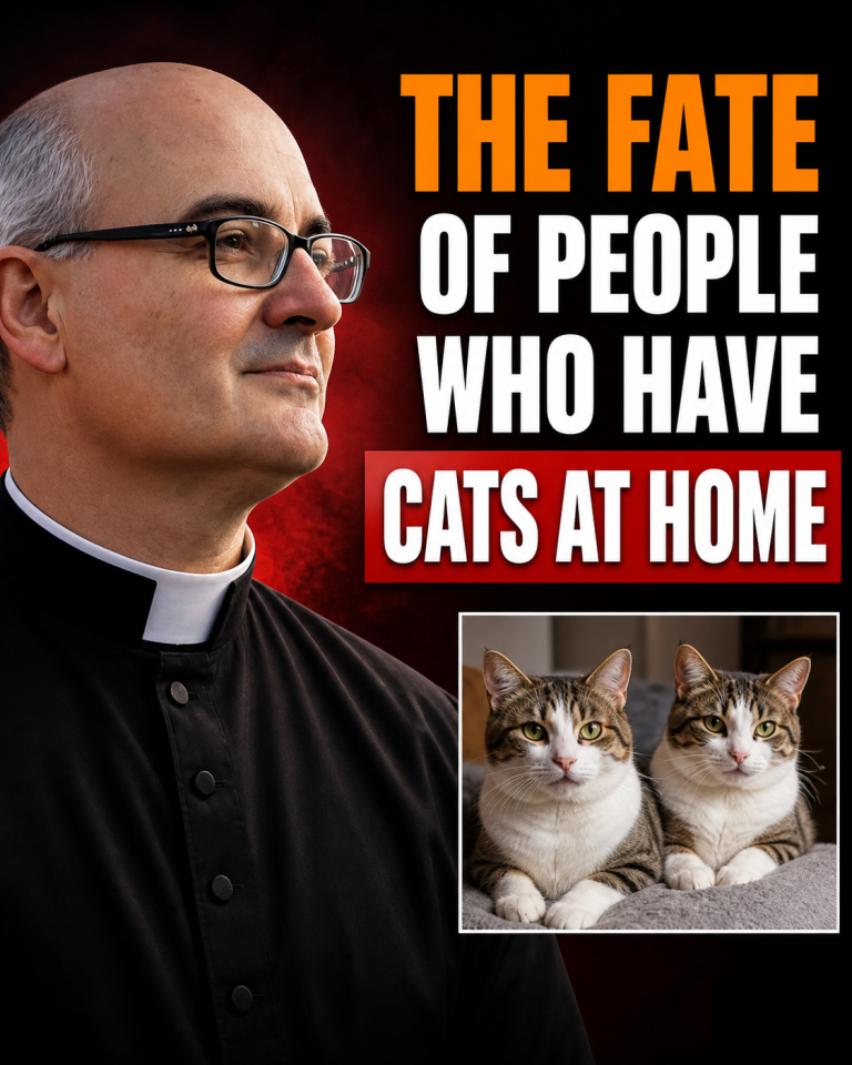 Spiritual reflections on the meaning of having cats at home.
