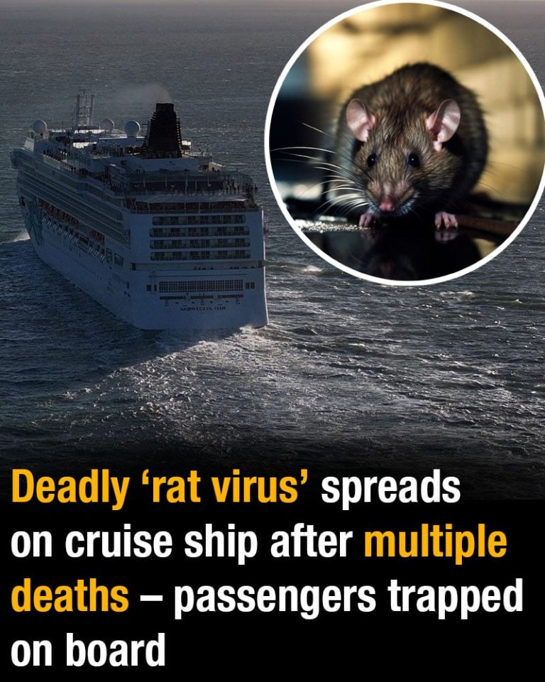 Deadly ‘rat virus’