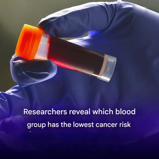 Researchers show which