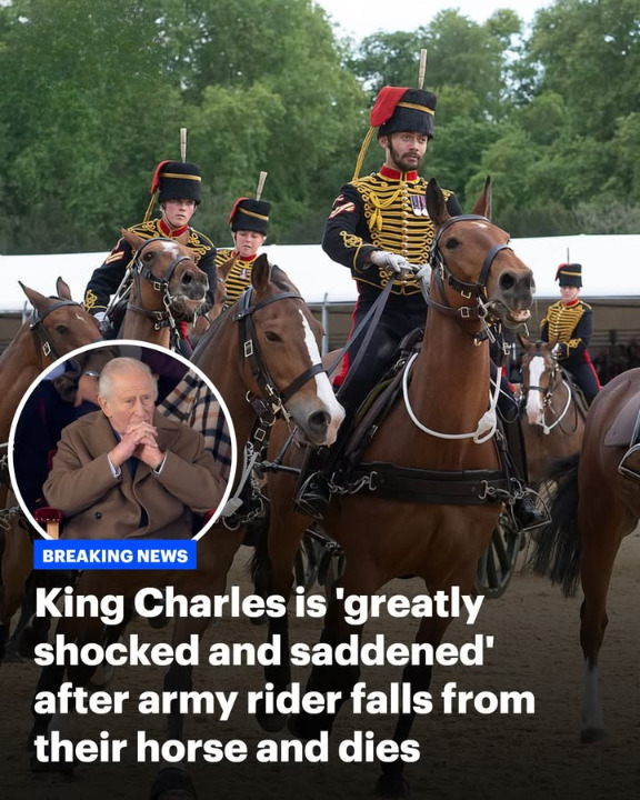 King Charles is ‘greatly shocked