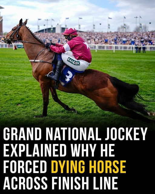 TRAGEDY AT AINTREE AS