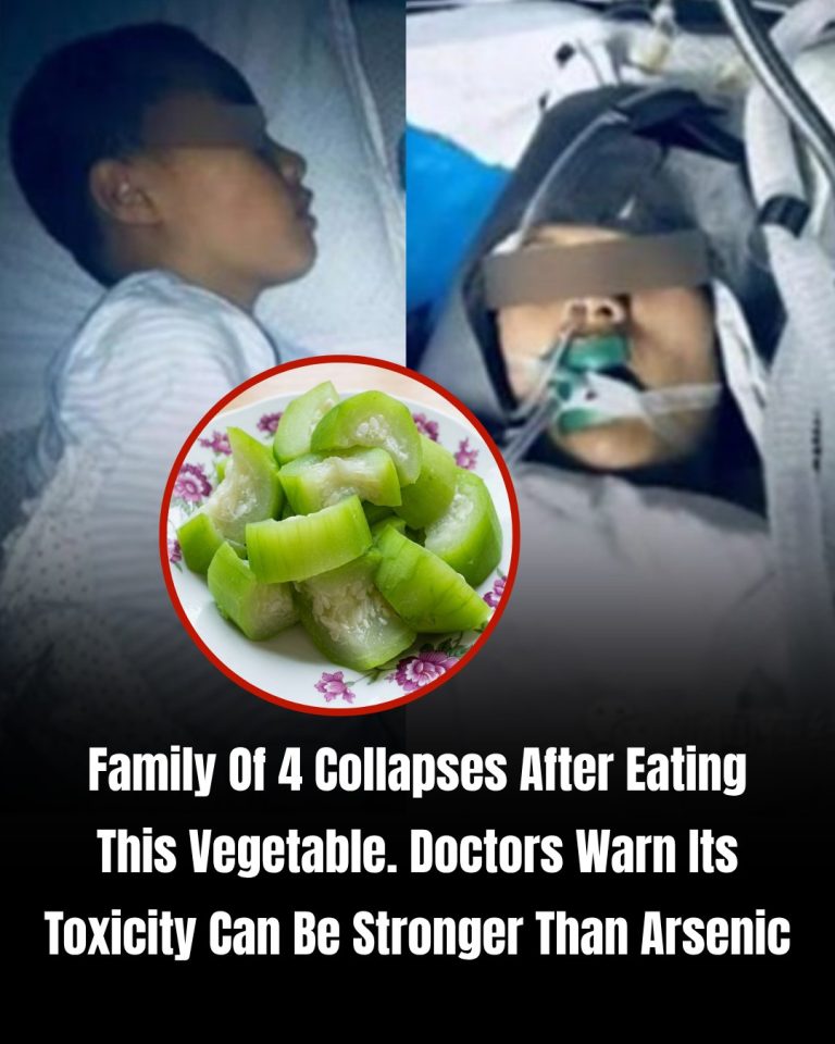 Family Hospitalized After Eating Toxic Vegetables: Doctors Issue Urgent Warning