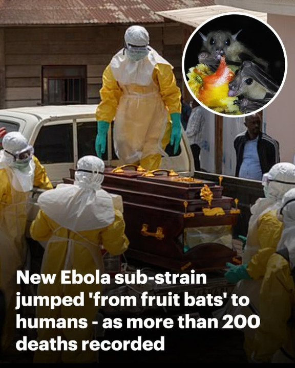 New Ebola sub-strain