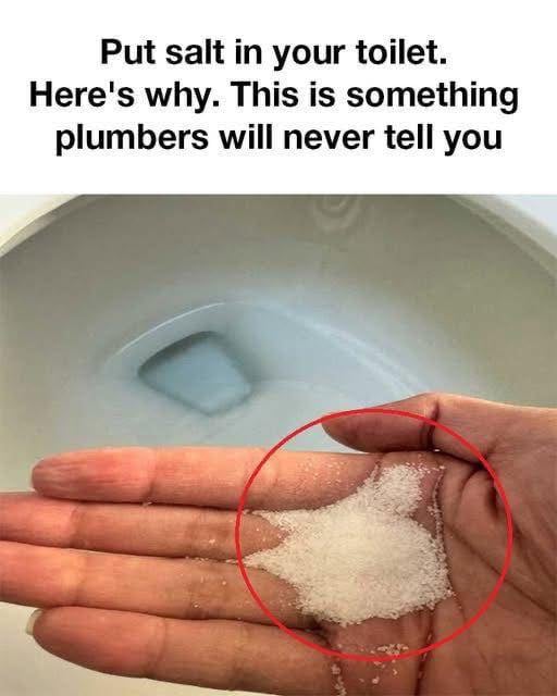 Put salt in your toilet