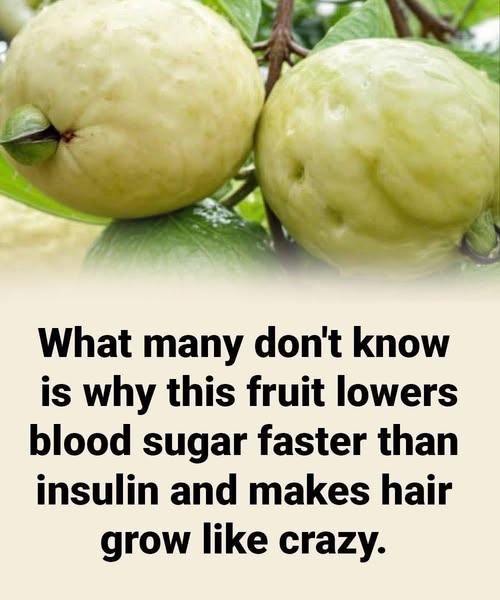 A SWEET FRUIT WITH