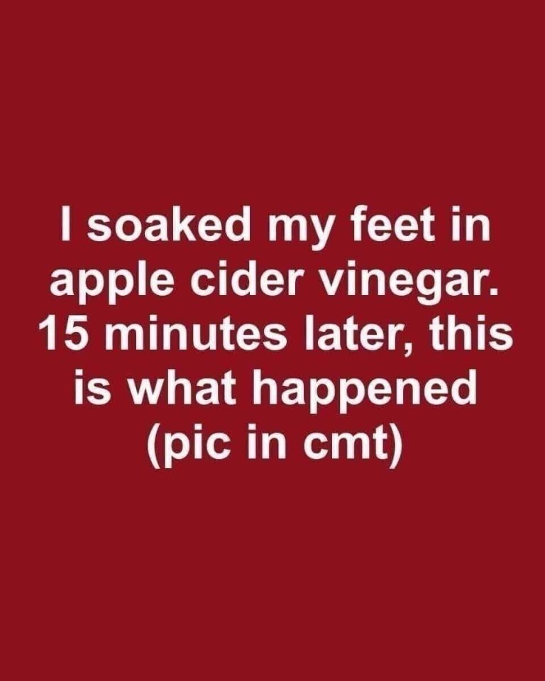 What Apple Cider