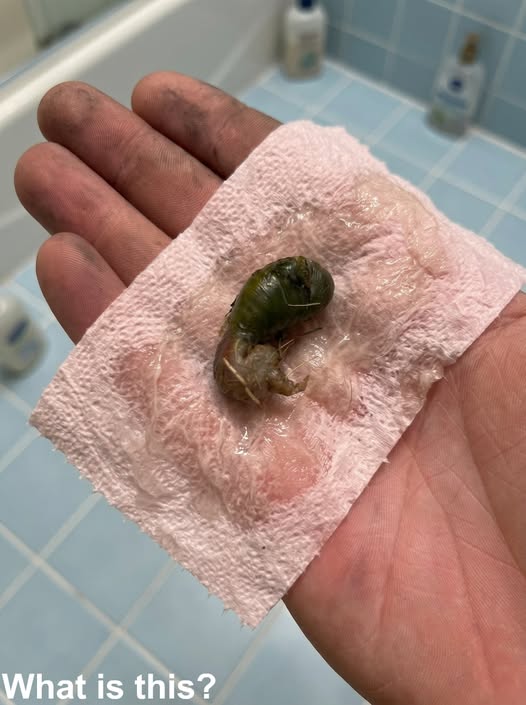 We found this in our