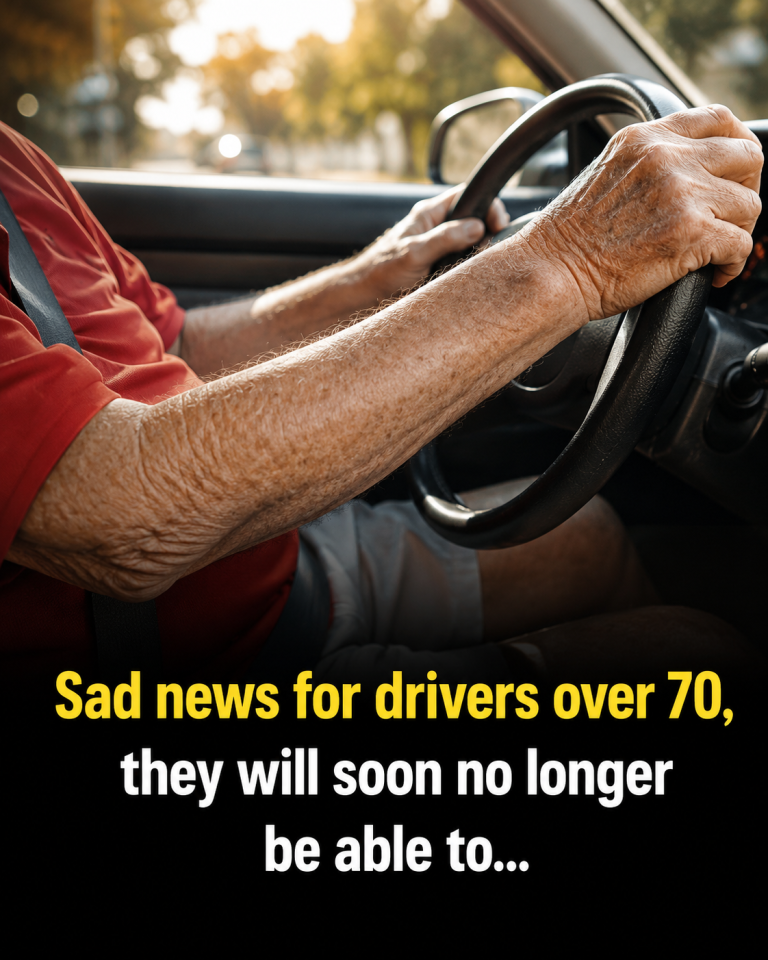 Drivers Over 70 Face Renewed Licence Rule