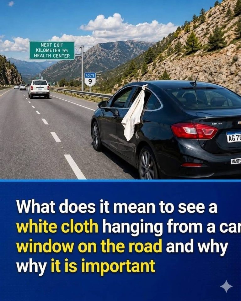 The White Cloth