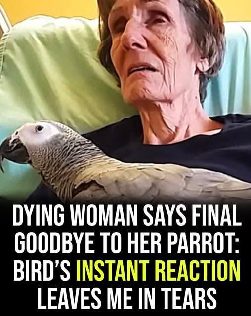 Dying woman says