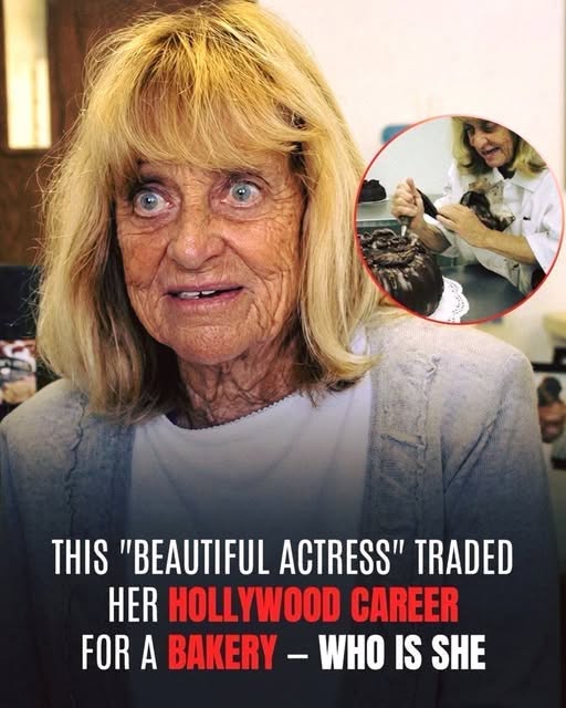 From Hollywood Stardom