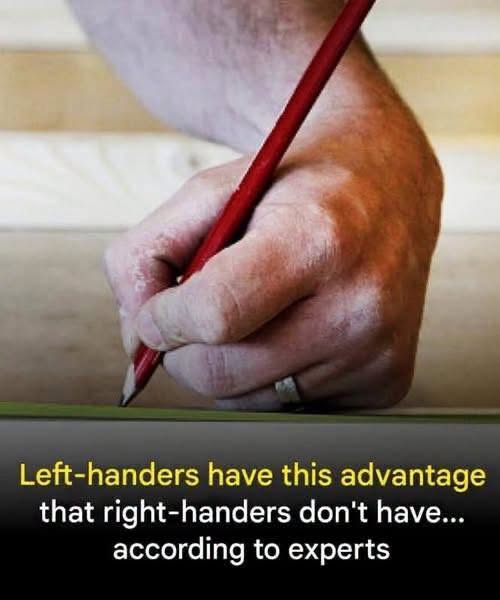 The Fascinating Science