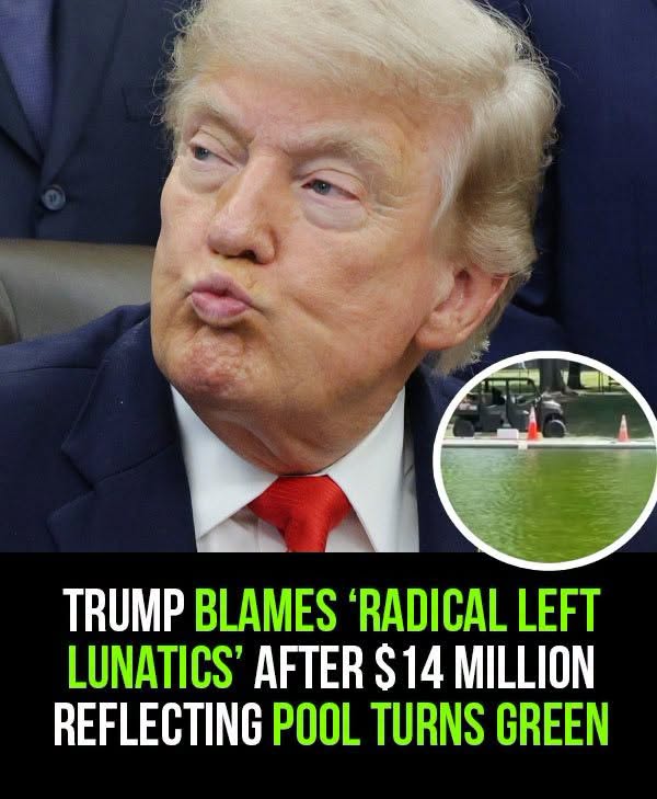 Trump blames ‘Radical