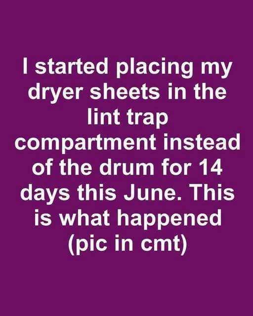I Put Dryer Sheets