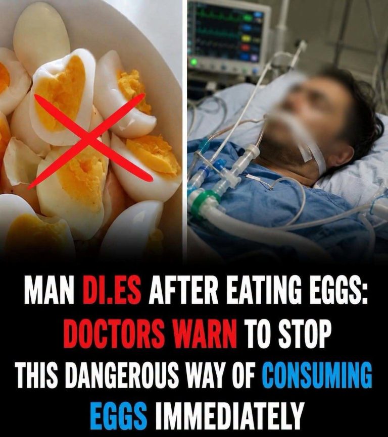 Can Eating Eggs