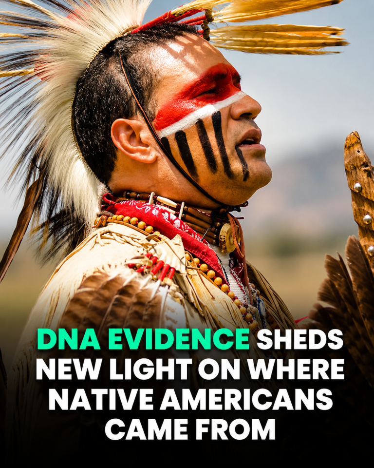 DNA Study Reveals New Clues About Early Native Americans