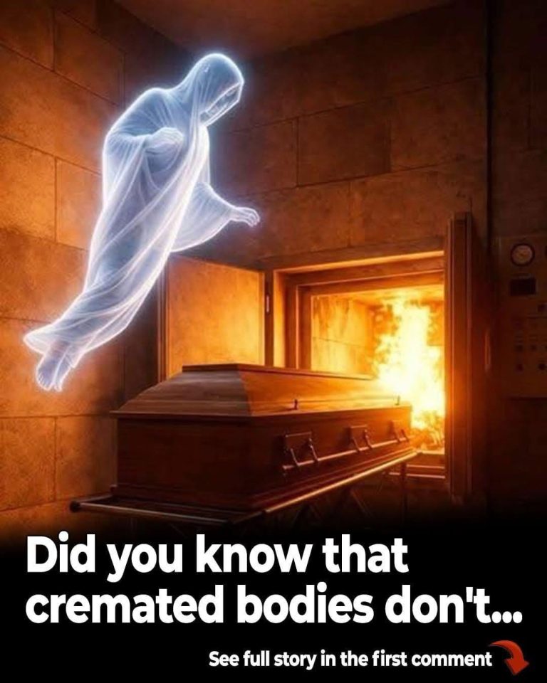 Cremation and faith: what