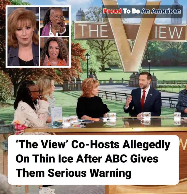 ‘The View’ Hosts In